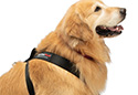 WeatherTech Pet Safety Harness