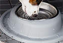 WeatherTech Pet Feeding System