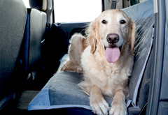 Classic Accessories DogAbout Quick-Fit Seat Protector