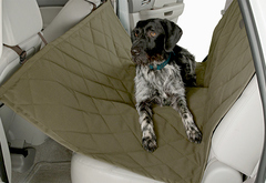 Pet Travel Research Guide