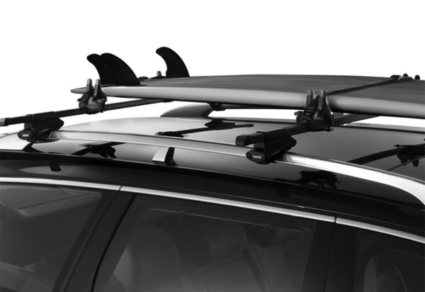 Thule Hang Two Surf Board Carrier