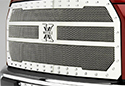 Image is representative of T-Rex X-Metal Grille.<br/>Due to variations in monitor settings and differences in vehicle models, your specific part number (6711241) may vary.