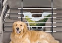 Image is representative of WeatherTech Pet Barrier.<br/>Due to variations in monitor settings and differences in vehicle models, your specific part number (84PB16) may vary.