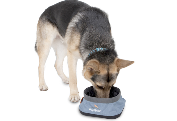Classic Accessories DogAbout Travel Bowl