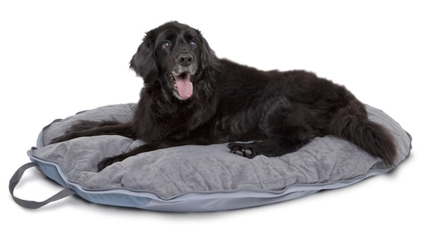 Classic Accessories DogAbout Folding Pet Travel Bed