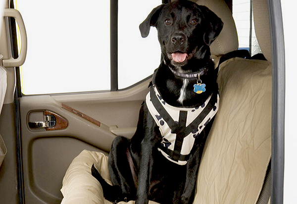 Canine Covers Buckle-Up Harness