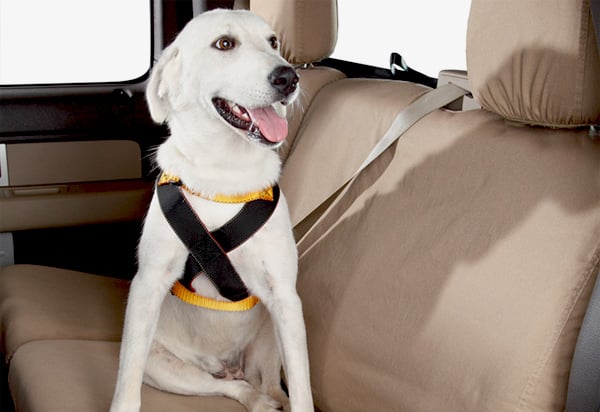 Ruff Rider Roadie Dog Harness