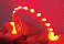 Image is representative of PlasmaGlow LumaFlex Flexible LED Light Strip.<br/>Due to variations in monitor settings and differences in vehicle models, your specific part number (10493) may vary.