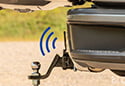 Curt Protective MultiPro / Multi-Flex Tailgate Sensor with Hitch Cap