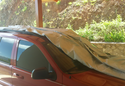 Customer Submitted Photo: Covercraft Noah Car Cover