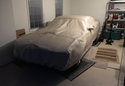 Customer Submitted Photo: Covercraft Dustop Car Cover