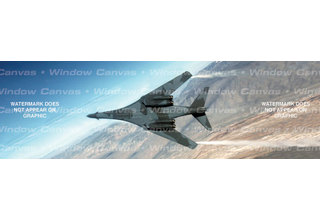Window Canvas Air Military Window Graphic  WC201010-2
