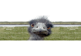 Window Canvas Wildlife Window Graphic  WC309006-2