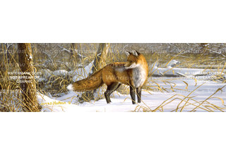 Window Canvas Wildlife Window Graphic  WC309008-0