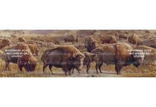 Window Canvas Wildlife Window Graphic  WC309010-2