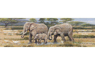 Window Canvas Wildlife Window Graphic  WC309012-2