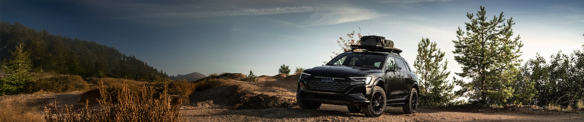 Audi Q8 Accessories, Aftermarket Parts, Mods & Upgrades - AutoAccessoriesGarage.com