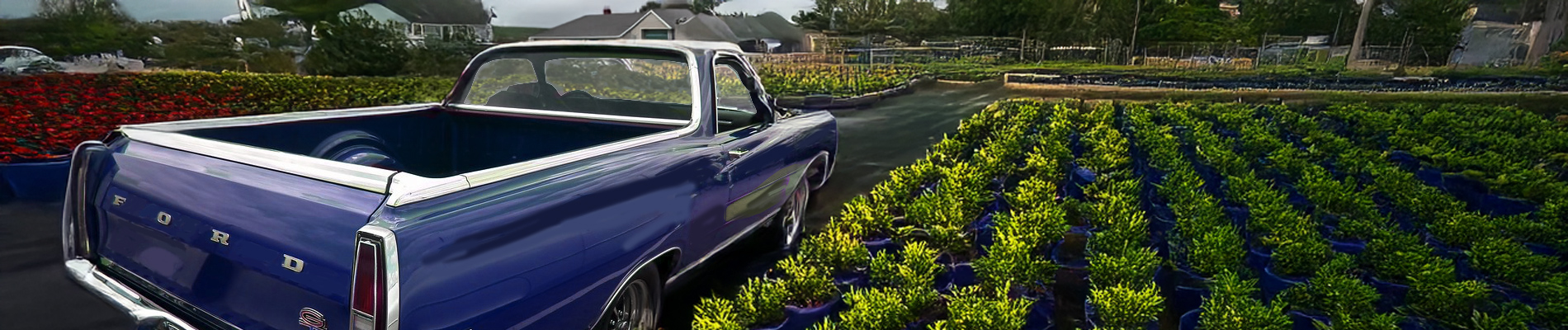 Ford Ranchero Accessories, Aftermarket Parts, Mods & Upgrades - AutoAccessoriesGarage.com