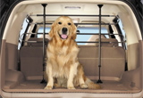 Lincoln Aviator Pet Travel