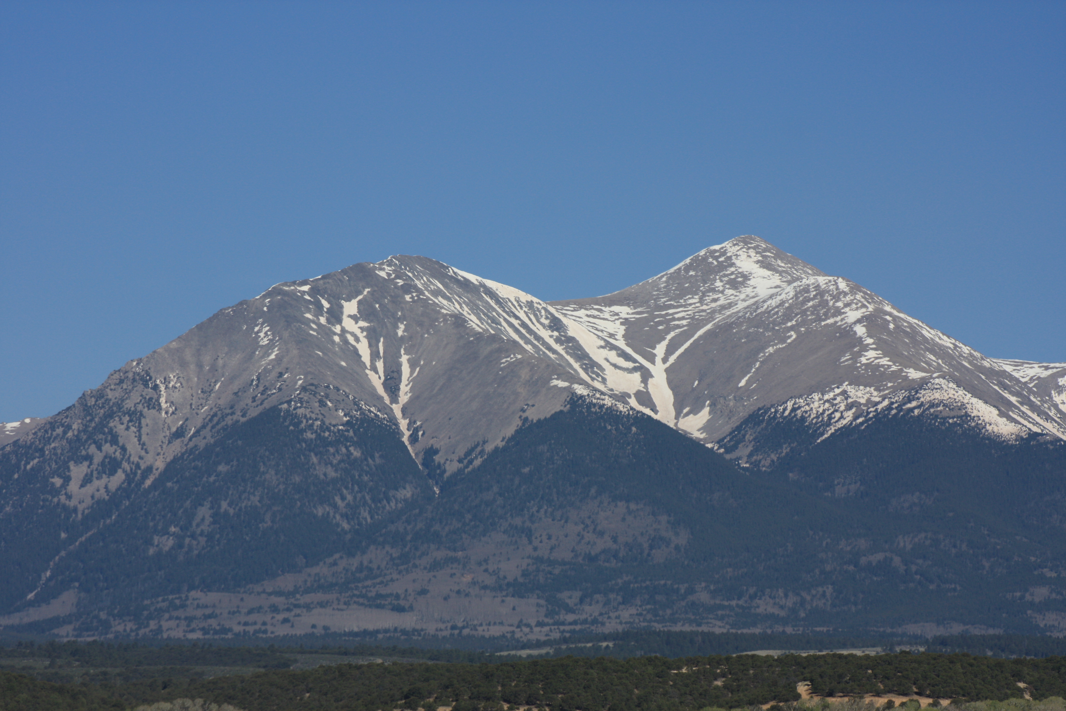 Mt. Shavano Wildlife Area, Salida, Colorado