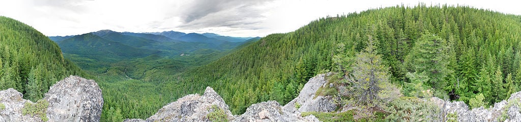 olympic national forest