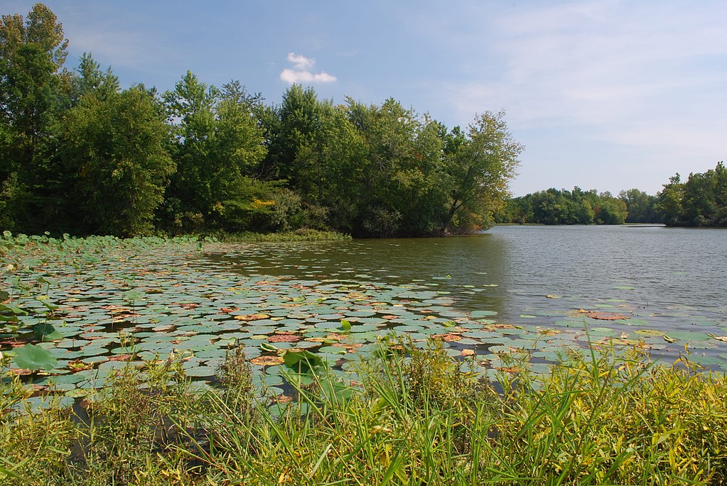 sangchris lake, il