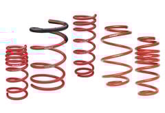 Skunk2 Lowering Springs