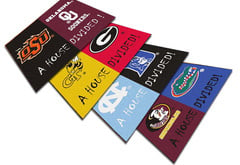 Fanmats NCAA House Divided Mat