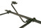 BAK BakTrack MulitFunctional Rail System Accessories