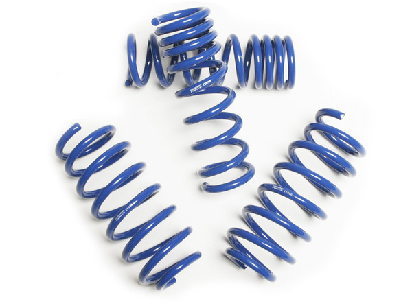 Ground Force Suspension Drop Coil Kit