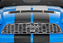 Bully Imposter Grille Insert