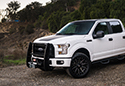 Go Rhino Winch Mount Grille Guard