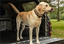 Access Truck Bed Mat