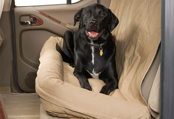 Canine Covers Back Seat Dog Bed