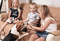 Canine Covers SofaSaver