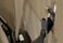 Canine Covers Buckle-Up Harness