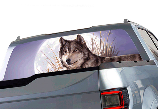 Window Canvas Wildlife Window Graphic