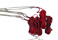 PlasmaGlow Flexible LED Underbody Kit