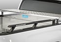 Image is representative of Backrack Siderails.<br/>Due to variations in monitor settings and differences in vehicle models, your specific part number (65520TB) may vary.