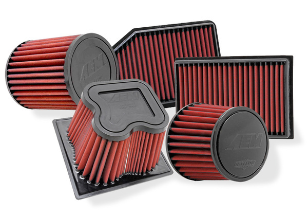 AEM Dryflow Air Filter