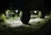 Wurton LED Pod Lights