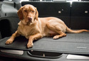 Aries StyleGuard Cargo Liner