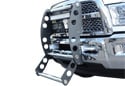 AMI Swing Step Grille Guard