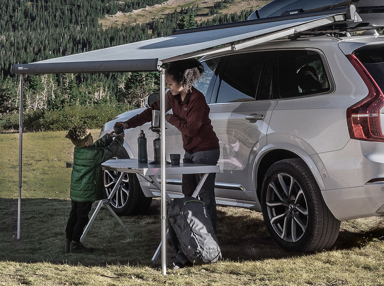 Thule Hideaway Roof Mount 2024 favors