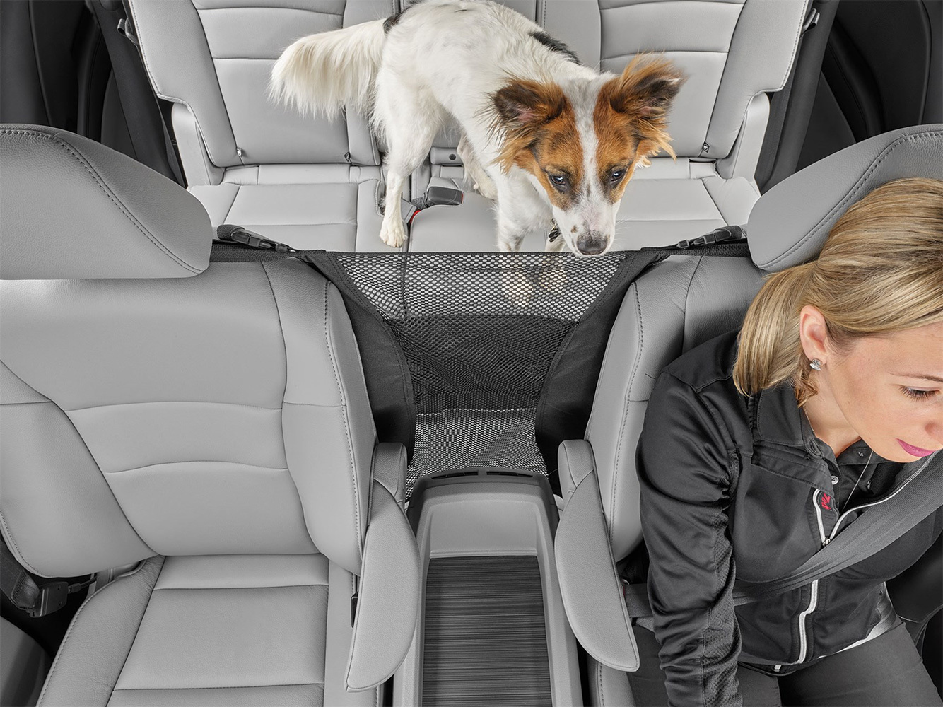 WeatherTech Pet Partition Read Reviews & FREE SHIPPING!