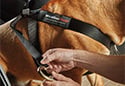 WeatherTech Pet Safety Harness