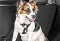 WeatherTech Pet Safety Harness