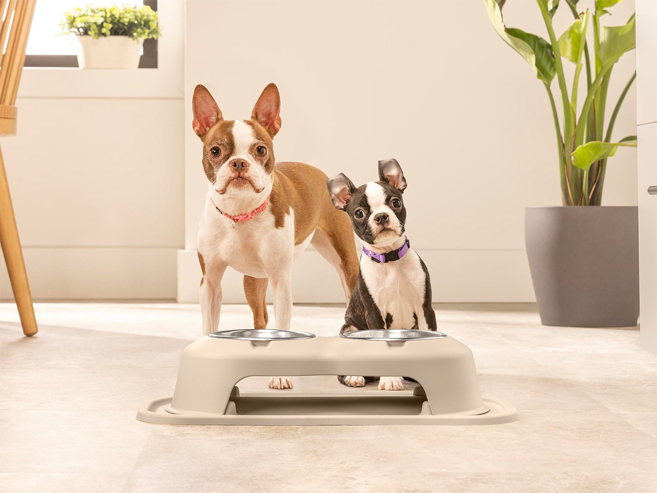 WeatherTech Pet Feeding System Read Reviews & FREE SHIPPING!