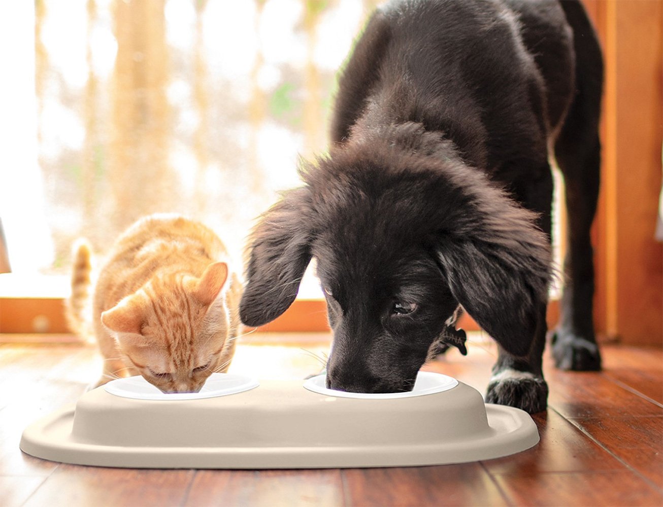 WeatherTech Pet Feeding System Read Reviews & FREE SHIPPING!