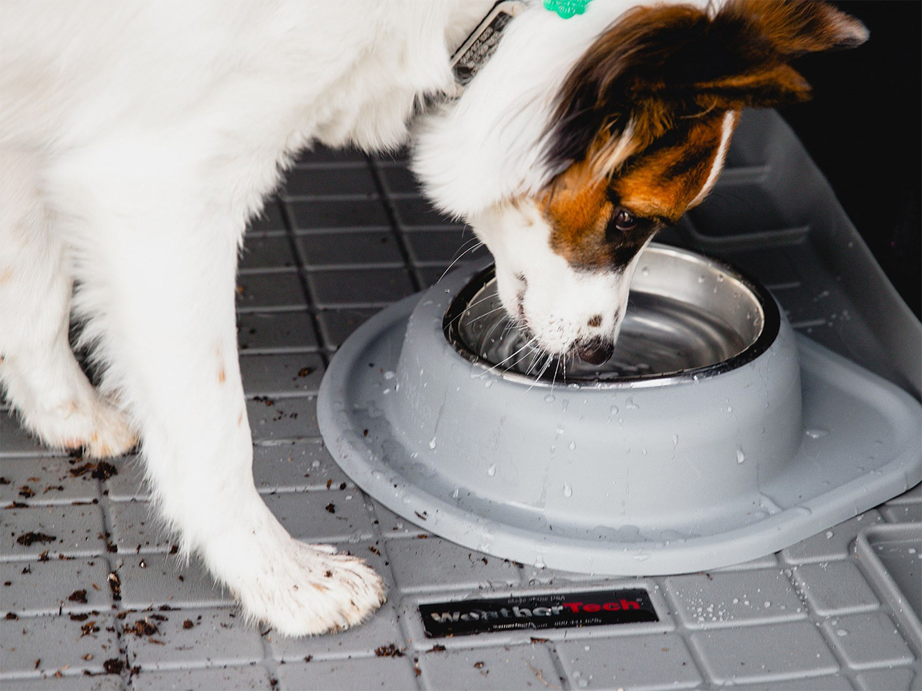 Amazon Weathertech Weathertech Pet Feeding Bowls WEATHERTECH